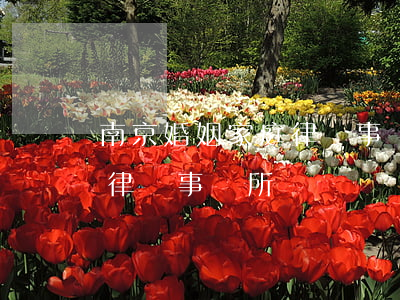 南京婚姻家庭律師事務所排名(南京婚姻十大律師事務所)