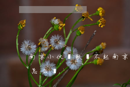 南京小伙貸款還不起(南京小伙貸款還不起會怎么樣)