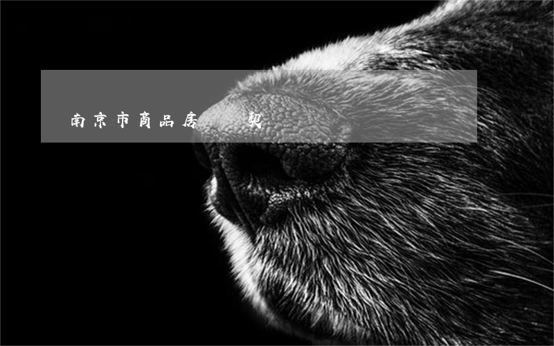 南京市商品房買賣契約