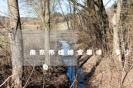 南京市婚姻家事律師多少錢(南京離婚律師咨詢免費)