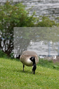 南京市建筑行業(yè)法律法規(guī)(建設(shè)工程法律法規(guī)有哪些)