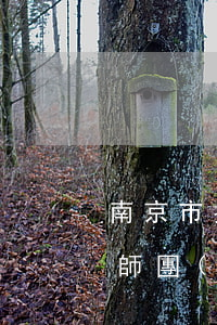南京市撫養(yǎng)權(quán)律師團(tuán)隊(duì)(南京市撫養(yǎng)權(quán)律師團(tuán)隊(duì))