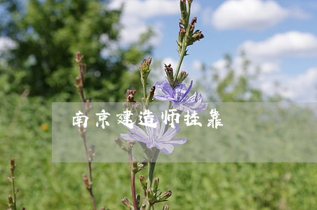 南京建造师挂靠