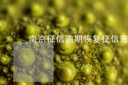 南京征信逾期恢复(征信逾期如何恢复征信)