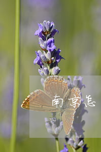 南京怎么找媒体曝光(南京怎么联系记者曝光)