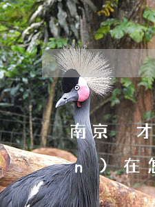 南京悅才白條逾期(南京悅才白條現(xiàn)在怎么樣了)