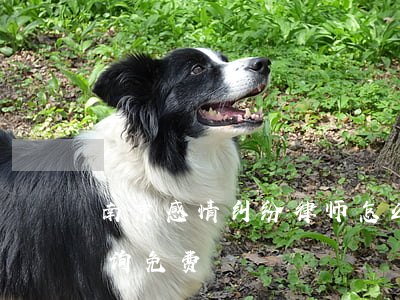 南京感情纠纷律师怎么收费(南京离婚律师咨询免费)