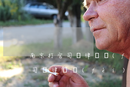 南京打官司請律師費(fèi)用多少(打官司請律師費(fèi)多少錢)
