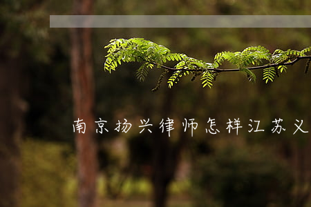 南京扬兴律师怎样(江苏义扬律师事务所)