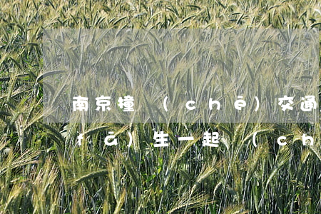 南京撞車(chē)交通事故(昨天南京發(fā)生一起車(chē)禍)