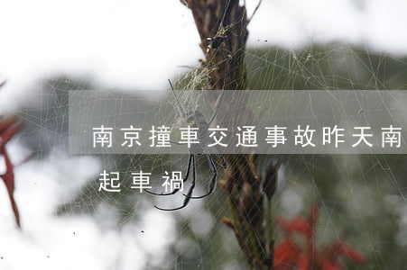 南京撞車交通事故(昨天南京發(fā)生一起車禍)