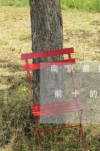 南京最好的律師是誰(shuí)(南京排名前十的律師事務(wù)所)