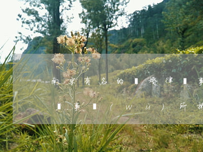 南京有名的離婚律師事務(wù)所(南京律師事務(wù)所排名聯(lián)系方式)
