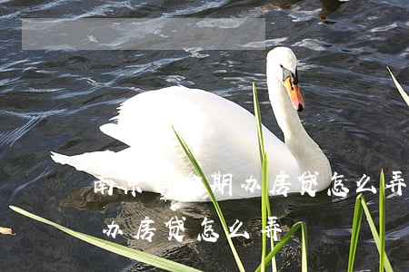 南京有逾期办房贷怎么弄信用卡（南京有逾期办房贷怎么弄）
