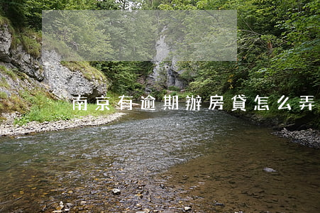 南京有逾期辦房貸怎么弄(貸款逾期該怎么辦)