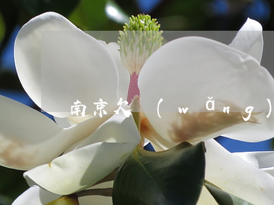 南京欠網(wǎng)貸無力償還怎么辦