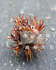 南京正規(guī)信用卡逾期名單(信用卡逾期失信人員)