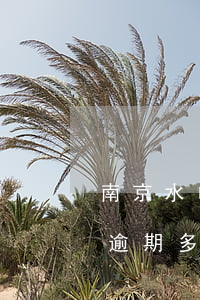 南京水电逾期多久违约金滞纳金-南京水电逾期多久违约金滞纳金最少