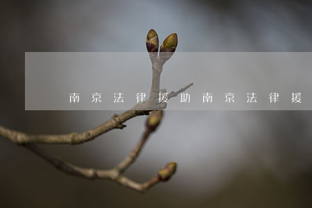 南京法律援助(南京法律援助)