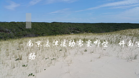 南京法律援助需要哪些條件(南京免費律師援助)