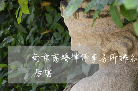 南京离婚律师事务所排名榜(南京离婚律师谁厉害)