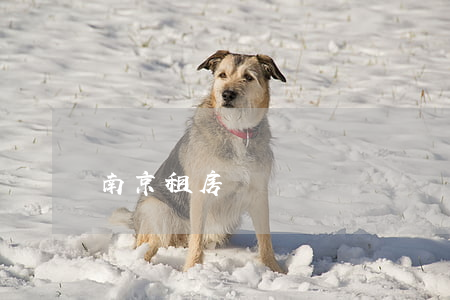南京租房補貼