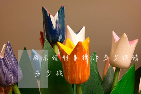 南京请刑事律师多少钱(请个刑事律师大概要多少钱)