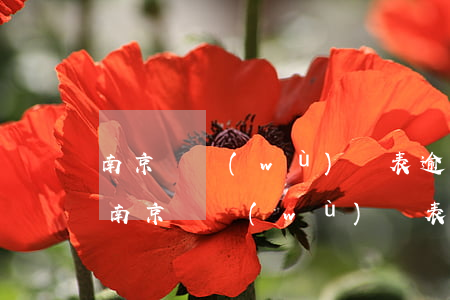 南京財務(wù)報表逾期未申報怎么辦-南京財務(wù)報表逾期未申報怎么辦理