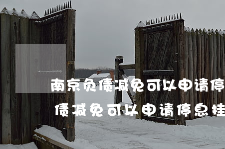 南京负债减免可以申请停息挂账吗-南京负债减免可以申请停息挂账吗知乎