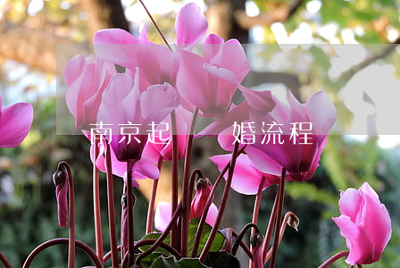 南京起訴離婚流程