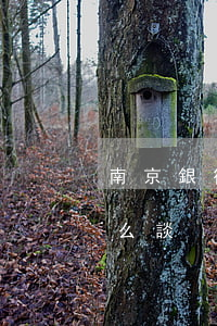南京銀行貸款逾期兩天(南京銀行網貸逾期怎么談)