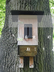 南京銀行逾期19天能不能起訴(南京銀行逾期19天能不能起訴)