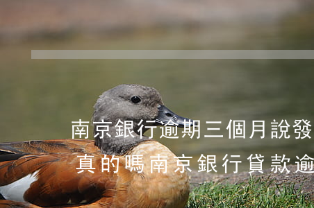 南京銀行逾期三個月說發(fā)律師函是真的嗎(南京銀行貸款逾期一個月,起訴我真的假的)