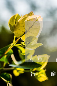 南京銀行逾期會(huì)起訴嗎(欠南京銀行錢逾期了怎么辦銀行說(shuō)起訴我)