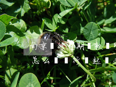 南京銀行逾期還款證明(欠南京銀行錢逾期了怎么辦銀行說起訴我)