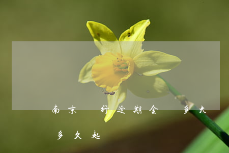 南京銀行逾期金額多大會被起訴-銀行逾期多久起訴