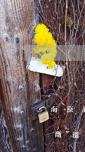 南京銀行鑫夢享逾期多久可以協(xié)商還款-南京銀行鑫夢享逾期多久可以協(xié)商還款啊