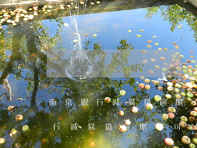 南京银行诚易贷逾期了可以协商吗-南京银行诚易贷逾期了可以协商吗还款吗