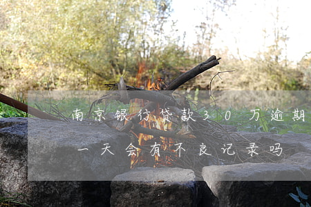 南京银行贷款30万逾期(南京银行贷款逾期一天会有不良记录吗)