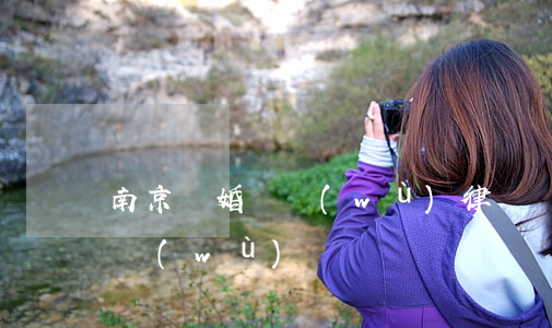 南京離婚債務(wù)律師價格(南京離婚債務(wù)糾紛)