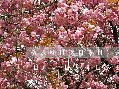 南京鼓樓律師事務(wù)所排行(南京鼓樓區(qū)律師事務(wù)所哪家好)