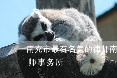 南充市最有名气的律师(南充市最有名气的律师事务所)