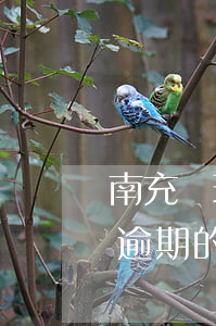 南充處理信用卡逾期的公司 南充處理信用卡逾期的公司名單