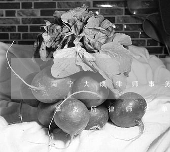 南宁大成律师事务所律师名单(广西伟宁律师事务所律师名单)