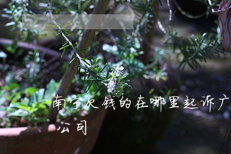 南宁欠钱的在哪里起诉 广西南宁最大的讨债公司
