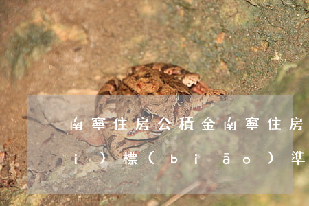 南寧住房公積金(南寧住房公積金繳費(fèi)標(biāo)準(zhǔn))