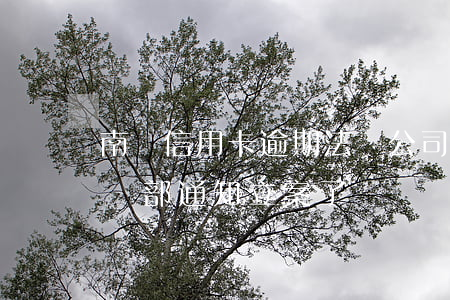 南寧信用卡逾期法務公司(信用卡逾期銀行法務部通知立案了)