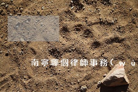 南寧哪個律師事務(wù)所比較好