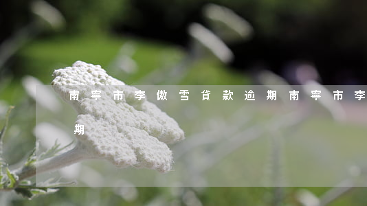 南寧市李傲雪貸款逾期(南寧市李傲雪貸款逾期)