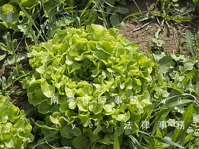南寧律師事務(wù)所宅基地(南寧市建業(yè)法律事務(wù)所)